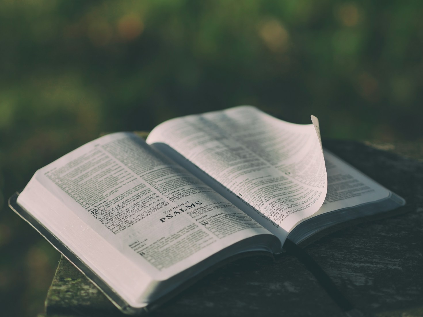 Exploring the Parables of Jesus in Context